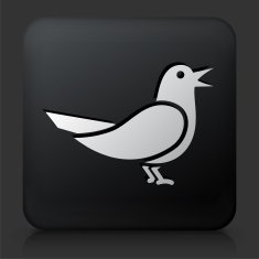 Black Square Button with Bird Icon N3