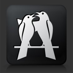 Black Square Button with Bird Icon N4