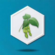 White 3D Hexagon Icon On Blue With Soybeans