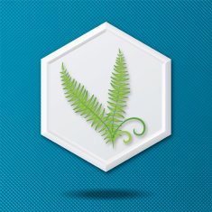 White 3D Hexagon Icon On a Blue Crosshatch Background N12