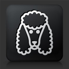 Black Square Button with Poodle Dog