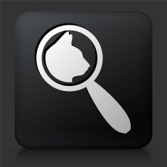 Black Square Button with Animal Search