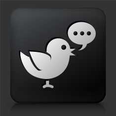 Black Square Button with Social Bird
