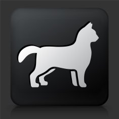 Black Square Button with Cat