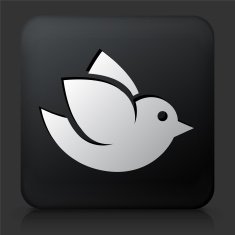 Black Square Button with Bird