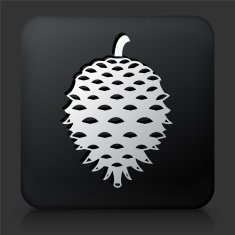 Black Square Button with Pinetree Seed Icon