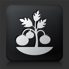 Black Square Button with Plants Icon