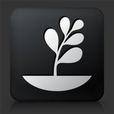 Black Square Button with Plants Icon N2