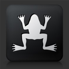 Black Square Button with Frog Icon