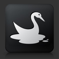Black Square Button with Bird in Oil Leak Icon N2