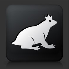 Black Square Button with Frog Prince Icon