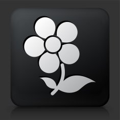 Black Square Button with Flower N2