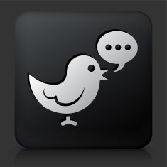 Black Square Button with Communication Bird Icon