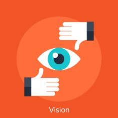 Vision N4