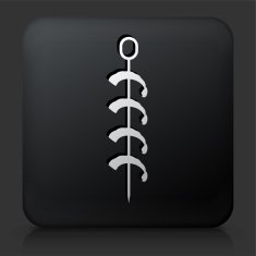 Black Square Button with Shrimp Kabobs
