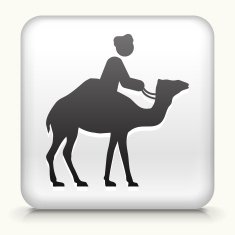 White Square Button with Camel Rider Icon