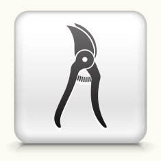 White Square Button with Pruners