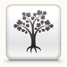 White Square Button with Tree Icon
