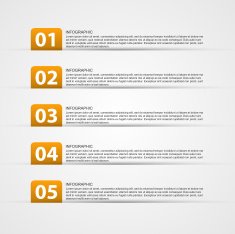 Infographic design template N29