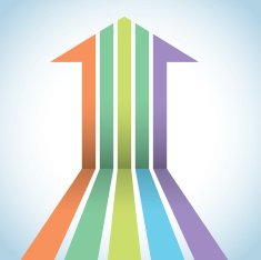 Arrow N11
