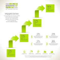 Minimal infographic N56