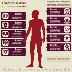 Organ Info