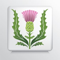 Icon With Scotch Thistle And Leaves