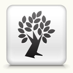 Square Button with Tree interface icon