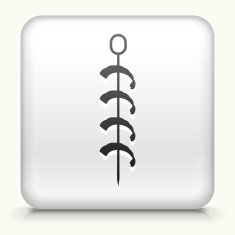 Square Button with Shrimp Kabobs