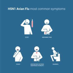 H5N1 Avian flu symptoms