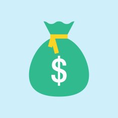 Money Bag Flat Icon N2