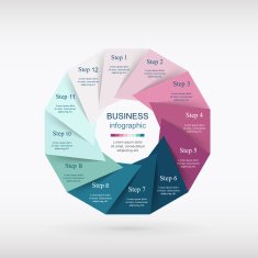 Vector infographic N13