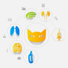 Veterinary sticker infographic N3