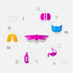Veterinary sticker infographic N5