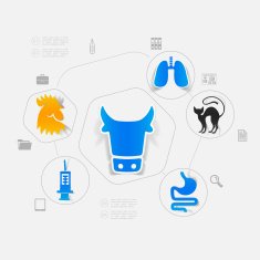 Veterinary sticker infographic N6