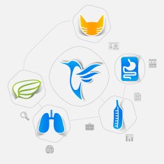 Veterinary sticker infographic N7