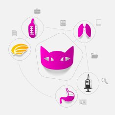 Veterinary sticker infographic N8