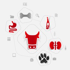 Veterinary sticker infographic N9
