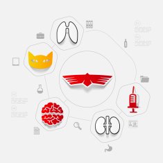 Veterinary sticker infographic N10