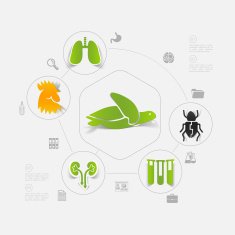 Veterinary sticker infographic N11