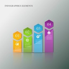 Vector infographic N27