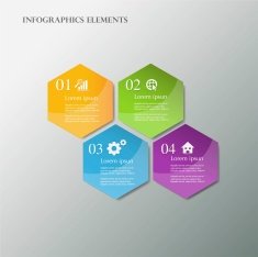 Vector infographic N28