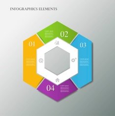 Vector infographic N29