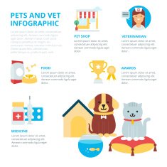 Pets and vet infographic vector illustration N2