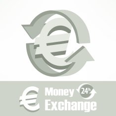 Euro symbol in grey N2