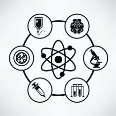 Medical info graphic design clean vector N2