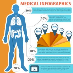Medical infographic human anatomy N2