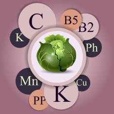 Vegetable and vitamins Vegetarian concept diet N4