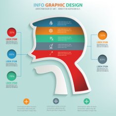 Stomach info graphic design clean vector