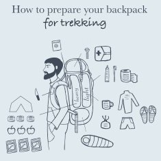 Travel Infographics N9